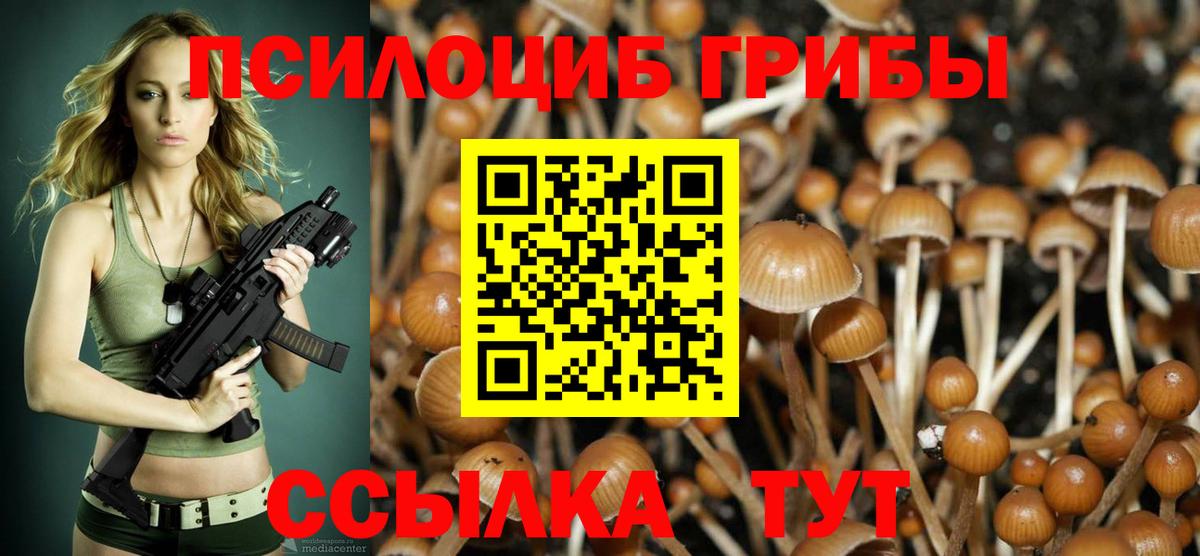 Псилоцибиновые грибы Psilocybine cubensis Чайковский