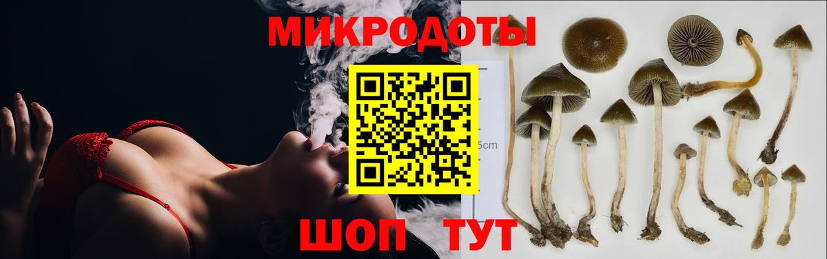 Чайковский  наркота  Вход с VPN  Псилоцибиновые грибы Magic Shrooms 