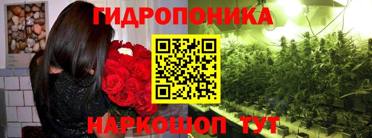 Марихуана Amnesia  МАРИХУАНА конопля  Вход с VPN  Чайковский  Бошки Шишки тримм 